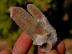 Natural Drusy Fairy Spirit Quartz Crystals x 70 From Boekenhouthoek, South Africa - Toprock Gemstones and Minerals 