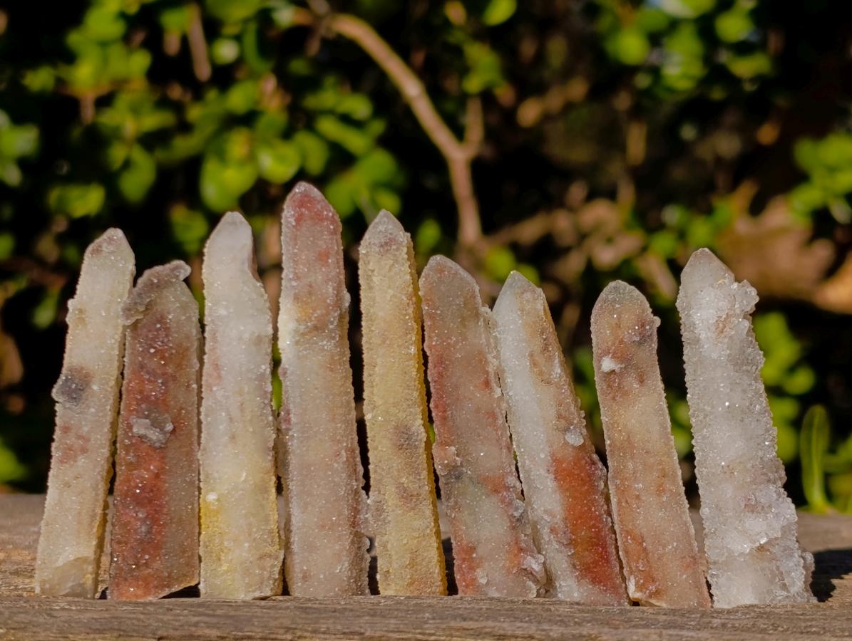 Natural Drusy Fairy Spirit Quartz Crystals x 70 From Boekenhouthoek, South Africa - Toprock Gemstones and Minerals 