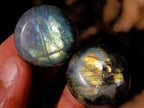 Polished Rounded Labradorite Free Forms x 70 From Madagascar - Toprock Gemstones and Minerals 