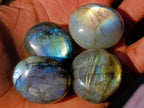 Polished Rounded Labradorite Free Forms x 70 From Madagascar - Toprock Gemstones and Minerals 