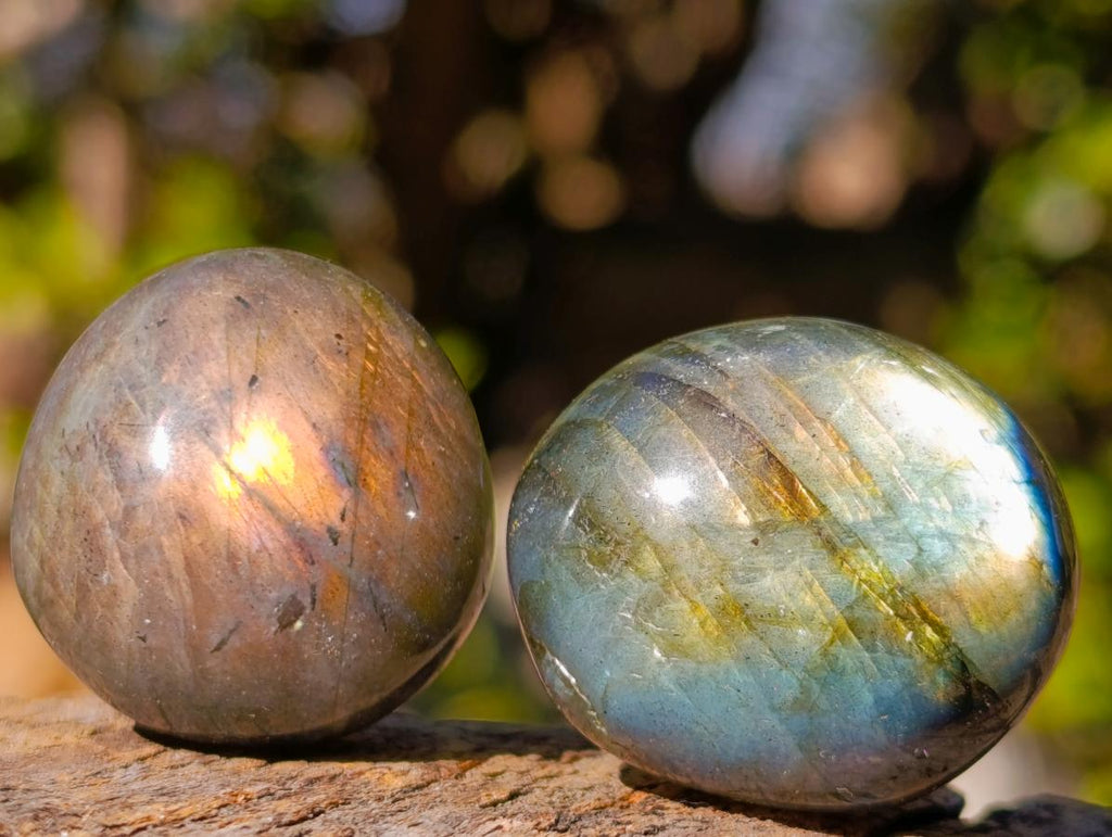 Polished Rounded Labradorite Free Forms x 70 From Madagascar - Toprock Gemstones and Minerals 