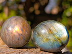 Polished Rounded Labradorite Free Forms x 70 From Madagascar - Toprock Gemstones and Minerals 