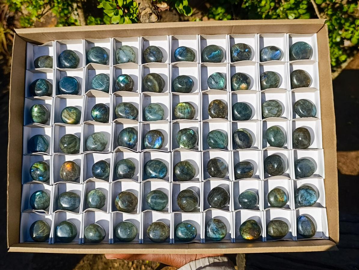 Polished Rounded Labradorite Free Forms x 70 From Madagascar - Toprock Gemstones and Minerals 