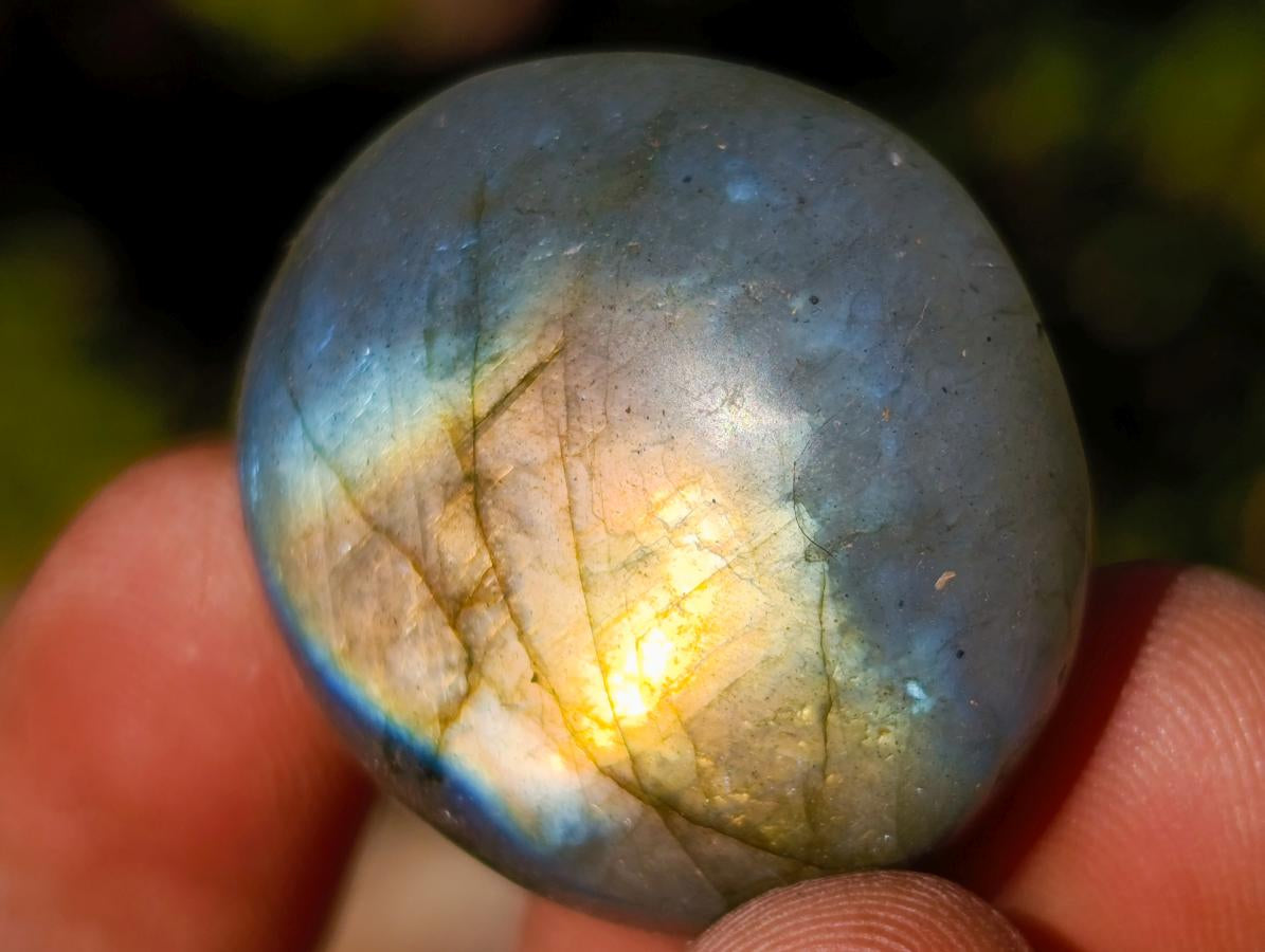 Polished Rounded Labradorite Free Forms x 70 From Madagascar - Toprock Gemstones and Minerals 