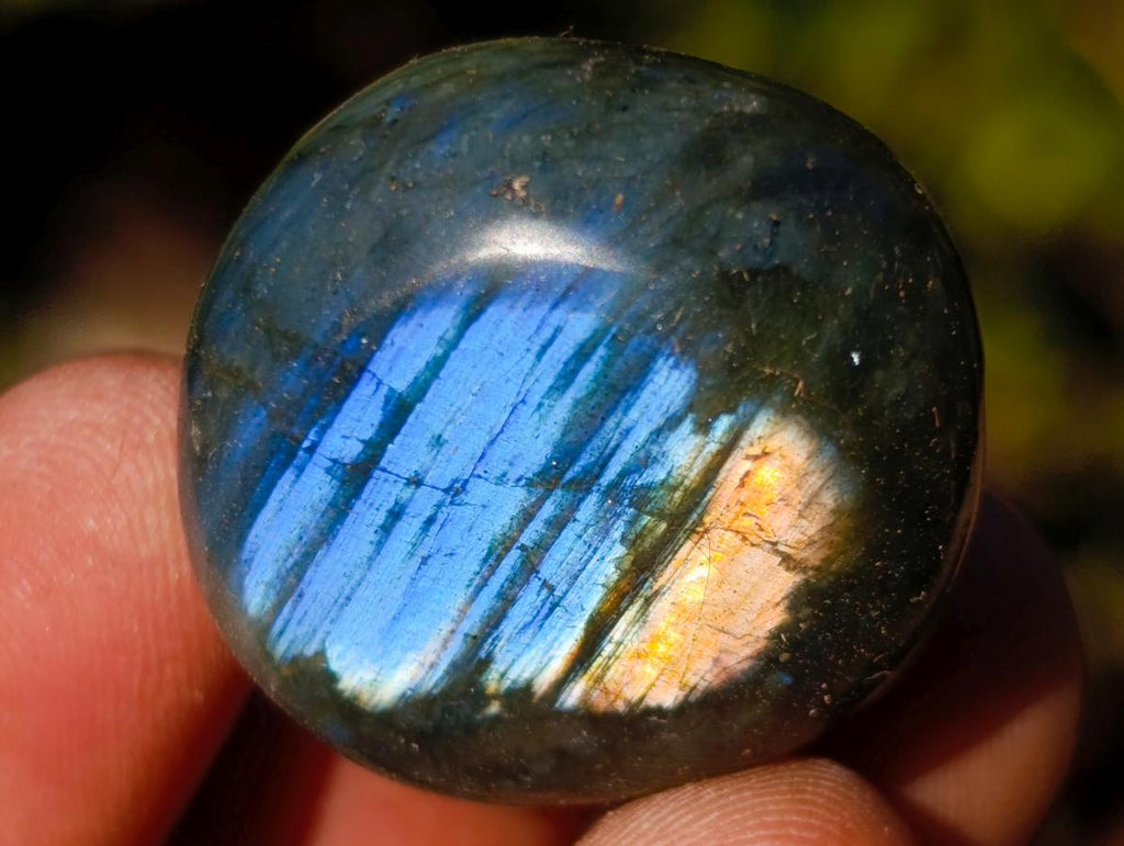 Polished Rounded Labradorite Free Forms x 70 From Madagascar - Toprock Gemstones and Minerals 