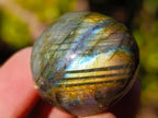 Polished Rounded Labradorite Free Forms x 70 From Madagascar - Toprock Gemstones and Minerals 