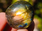 Polished Rounded Labradorite Free Forms x 70 From Madagascar - Toprock Gemstones and Minerals 