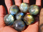 Polished Rounded Labradorite Free Forms x 70 From Madagascar - Toprock Gemstones and Minerals 