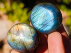 Polished Rounded Labradorite Free Forms x 70 From Madagascar - Toprock Gemstones and Minerals 