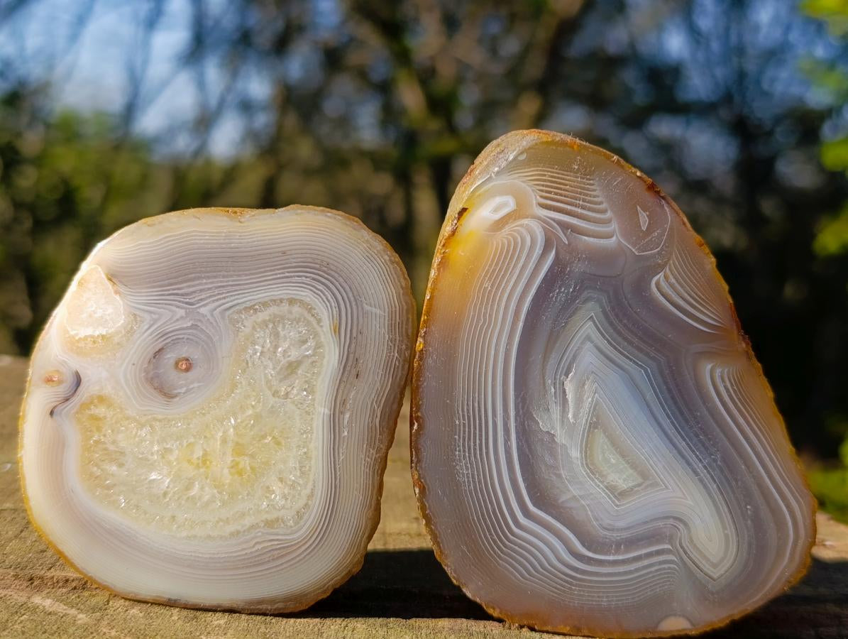 Polished Banded Agate Slices with Natural Edging x 12 From Madagascar - Toprock Gemstones and Minerals 