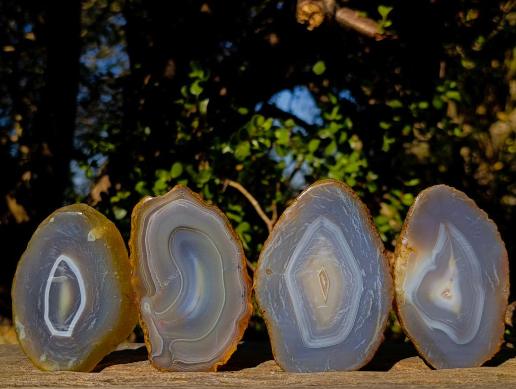 Polished Banded Agate Slices with Natural Edging x 12 From Madagascar - Toprock Gemstones and Minerals 