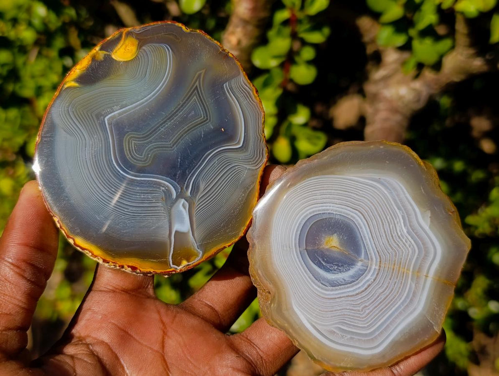 Polished Banded Agate Slices with Natural Edging x 12 From Madagascar - Toprock Gemstones and Minerals 