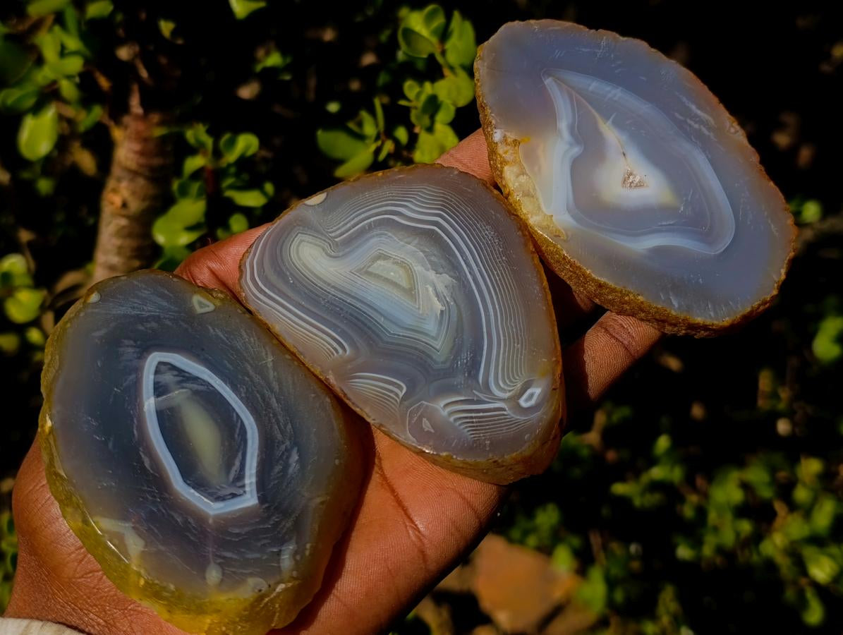 Polished Banded Agate Slices with Natural Edging x 12 From Madagascar - Toprock Gemstones and Minerals 