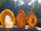 Polished Banded Agate Slices with Natural Edging x 12 From Madagascar - Toprock Gemstones and Minerals 
