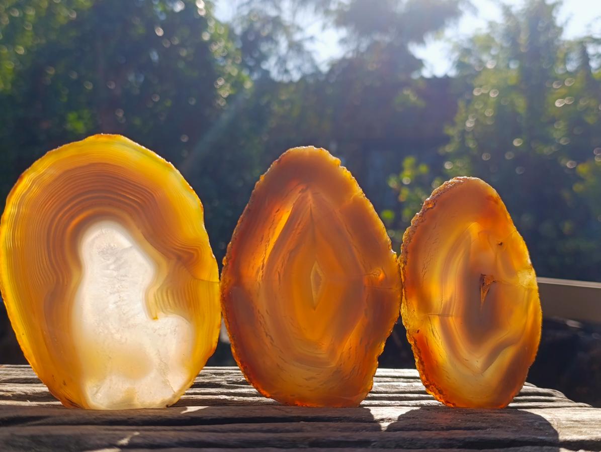 Polished Banded Agate Slices with Natural Edging x 12 From Madagascar - Toprock Gemstones and Minerals 