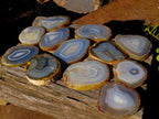 Polished Banded Agate Slices with Natural Edging x 12 From Madagascar - Toprock Gemstones and Minerals 