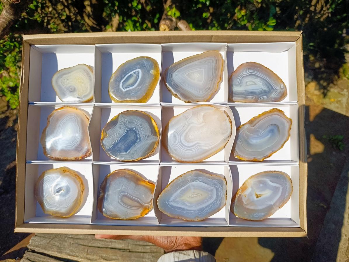 Polished Banded Agate Slices with Natural Edging x 12 From Madagascar - Toprock Gemstones and Minerals 