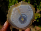 Polished Banded Agate Slices with Natural Edging x 12 From Madagascar - Toprock Gemstones and Minerals 