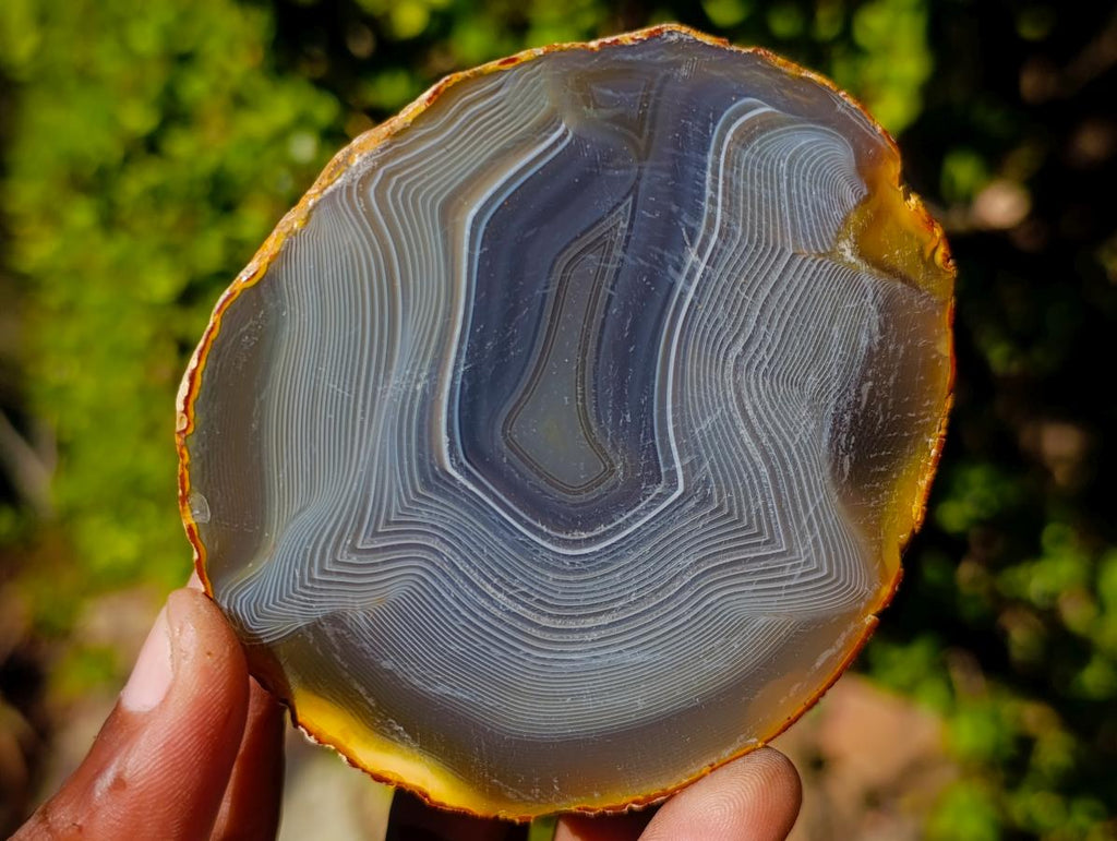 Polished Banded Agate Slices with Natural Edging x 12 From Madagascar - Toprock Gemstones and Minerals 