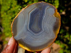 Polished Banded Agate Slices with Natural Edging x 12 From Madagascar - Toprock Gemstones and Minerals 