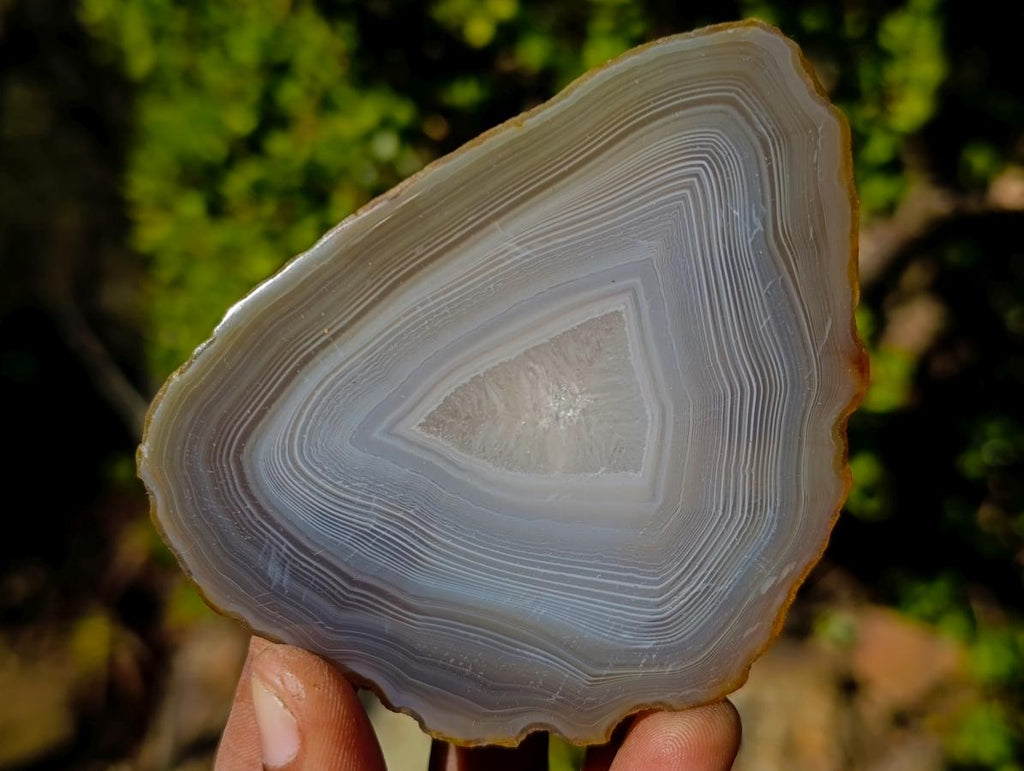 Polished Banded Agate Slices with Natural Edging x 12 From Madagascar - Toprock Gemstones and Minerals 