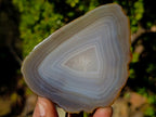 Polished Banded Agate Slices with Natural Edging x 12 From Madagascar - Toprock Gemstones and Minerals 