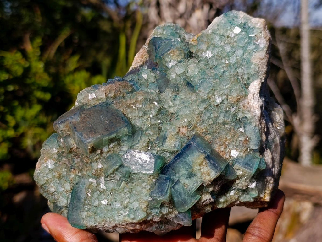 Natural Large Green Cubic Fluorite Specimen x 1 From Mandrosonoro, Madagascar - Toprock Gemstones and Minerals 
