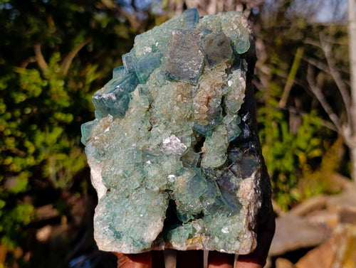 Natural Large Green Cubic Fluorite Specimen x 1 From Mandrosonoro, Madagascar - Toprock Gemstones and Minerals 