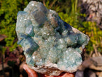 Natural Large Green Cubic Fluorite Specimen x 1 From Mandrosonoro, Madagascar - Toprock Gemstones and Minerals 