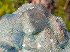 Natural Large Green Cubic Fluorite Specimen x 1 From Mandrosonoro, Madagascar - Toprock Gemstones and Minerals 