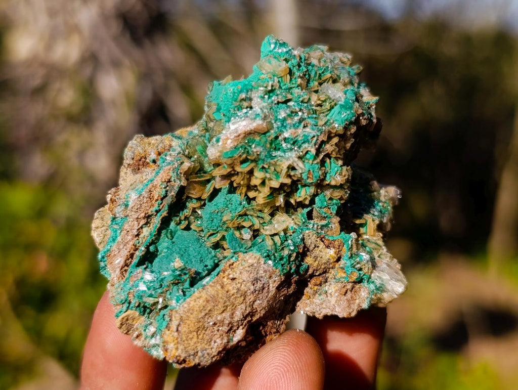 Natural Rare Bladed Barite Specimens with Malachite x 6 From Shangulowé Mine, Congo - Toprock Gemstones and Minerals 