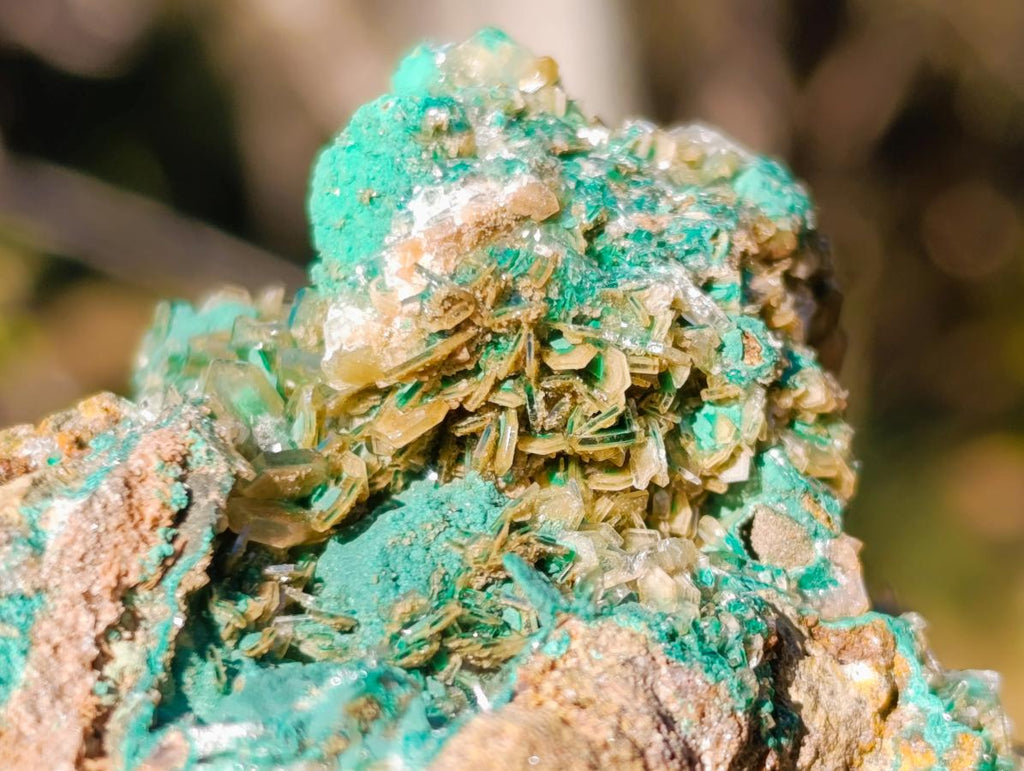 Natural Rare Bladed Barite Specimens with Malachite x 6 From Shangulowé Mine, Congo - Toprock Gemstones and Minerals 