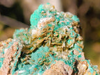Natural Rare Bladed Barite Specimens with Malachite x 6 From Shangulowé Mine, Congo - Toprock Gemstones and Minerals 