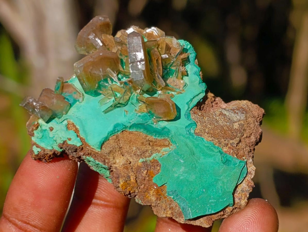 Natural Rare Bladed Barite Specimens with Malachite x 6 From Shangulowé Mine, Congo - Toprock Gemstones and Minerals 