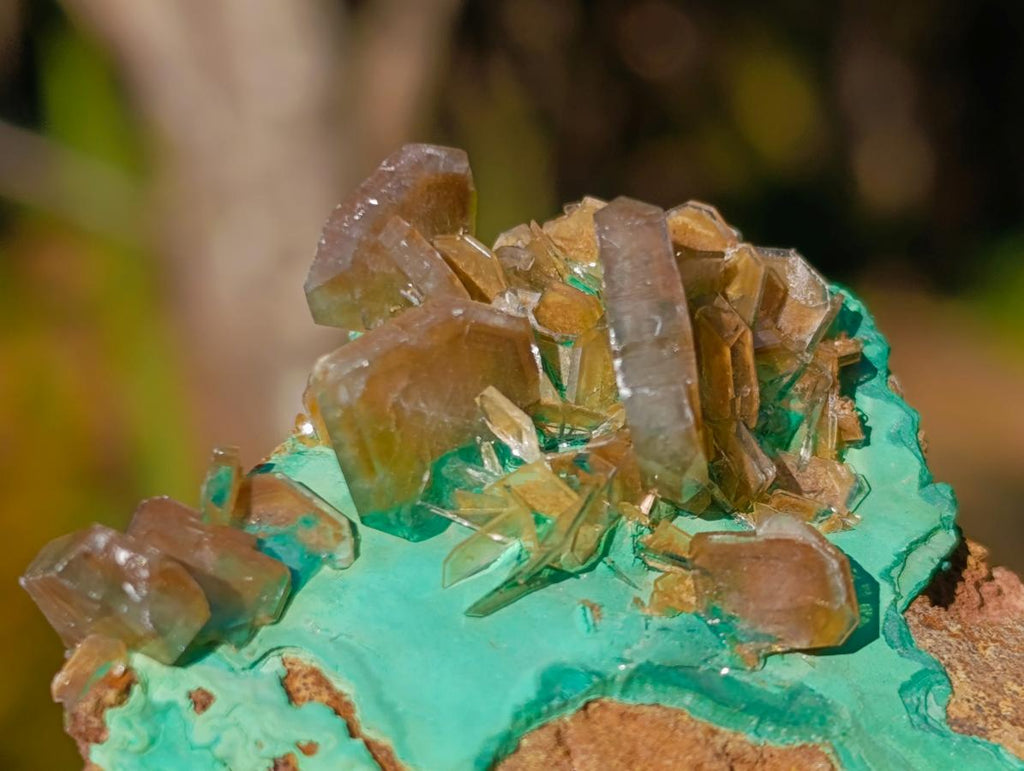 Natural Rare Bladed Barite Specimens with Malachite x 6 From Shangulowé Mine, Congo - Toprock Gemstones and Minerals 