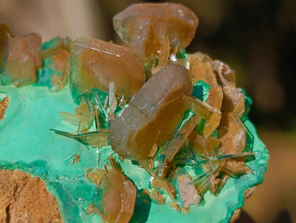 Natural Rare Bladed Barite Specimens with Malachite x 6 From Shangulowé Mine, Congo - Toprock Gemstones and Minerals 