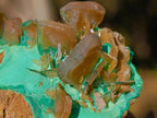 Natural Rare Bladed Barite Specimens with Malachite x 6 From Shangulowé Mine, Congo - Toprock Gemstones and Minerals 