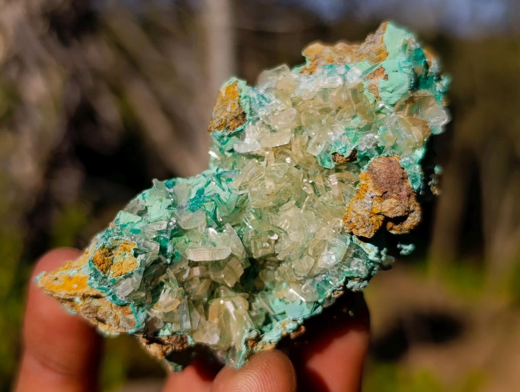 Natural Rare Bladed Barite Specimens with Malachite x 6 From Shangulowé Mine, Congo - Toprock Gemstones and Minerals 