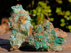 Natural Rare Bladed Barite Specimens with Malachite x 6 From Shangulowé Mine, Congo - Toprock Gemstones and Minerals 