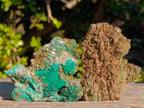 Natural Rare Bladed Barite Specimens with Malachite x 6 From Shangulowé Mine, Congo - Toprock Gemstones and Minerals 