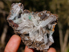 Natural Rare Bladed Barite Specimens with Malachite x 6 From Shangulowé Mine, Congo - Toprock Gemstones and Minerals 
