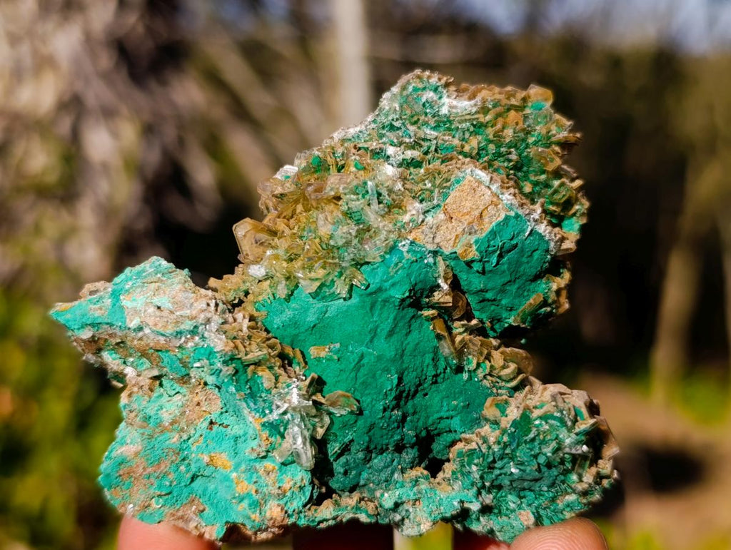Natural Rare Bladed Barite Specimens with Malachite x 6 From Shangulowé Mine, Congo - Toprock Gemstones and Minerals 