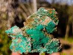 Natural Rare Bladed Barite Specimens with Malachite x 6 From Shangulowé Mine, Congo - Toprock Gemstones and Minerals 
