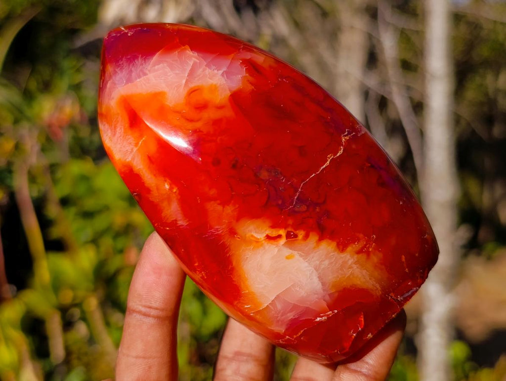 Polished Carnelian Agate Gemstone Flames x 3 From Madagascar - Toprock Gemstones and Minerals 