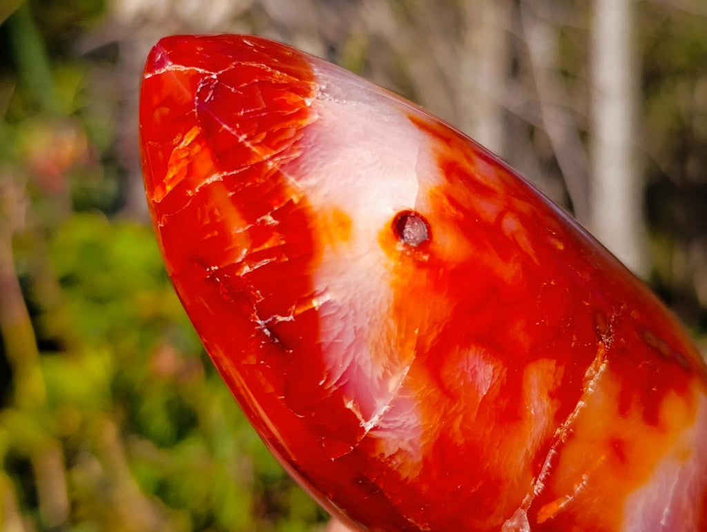 Polished Carnelian Agate Gemstone Flames x 3 From Madagascar - Toprock Gemstones and Minerals 