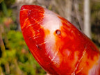 Polished Carnelian Agate Gemstone Flames x 3 From Madagascar - Toprock Gemstones and Minerals 
