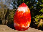 Polished Carnelian Agate Gemstone Flames x 3 From Madagascar - Toprock Gemstones and Minerals 