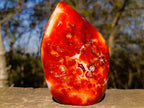 Polished Carnelian Agate Gemstone Flames x 3 From Madagascar - Toprock Gemstones and Minerals 