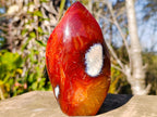 Polished Carnelian Agate Gemstone Flames x 3 From Madagascar - Toprock Gemstones and Minerals 