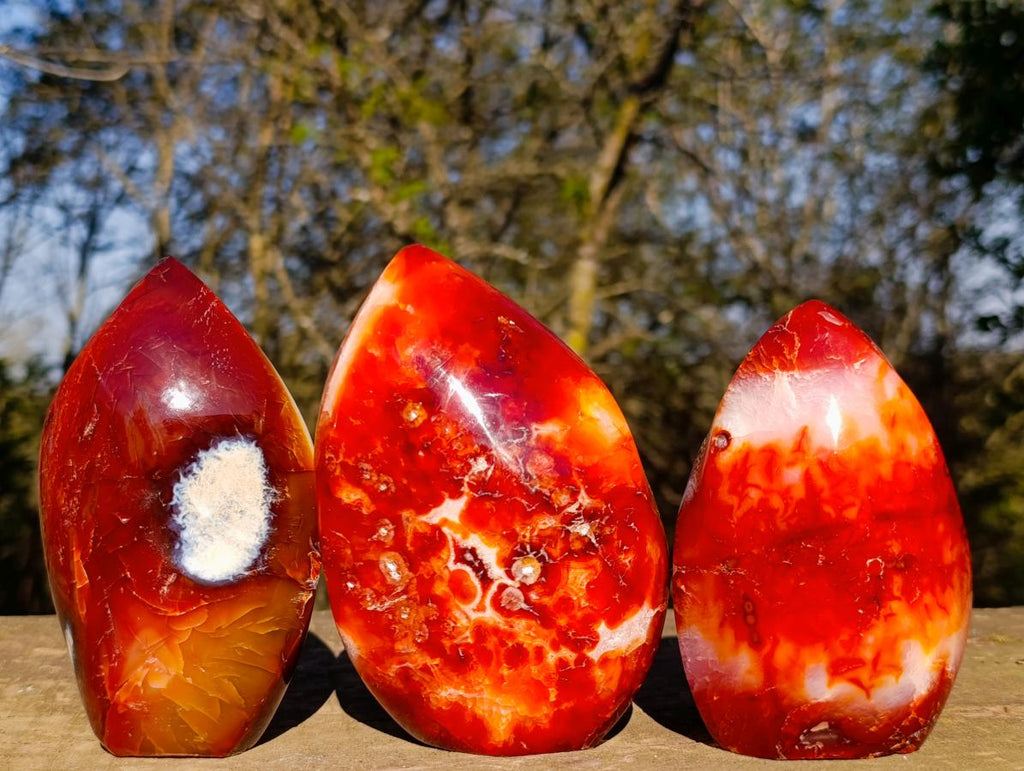 Polished Carnelian Agate Gemstone Flames x 3 From Madagascar - Toprock Gemstones and Minerals 